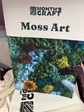 Moss Art This Month's Craft Surprise Box Includes all brands NEW